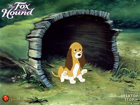 The Fox And The Hound Wallpapers Top Free The Fox And The Hound