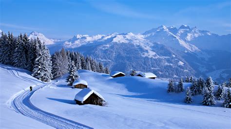 Landscapes Nature Snow Trees White Winter Houses Countryside