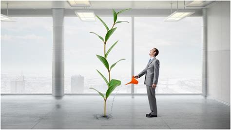 How To Manage Business Growing Pains