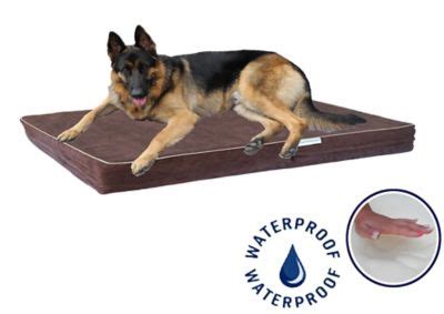 Founded as a mail order tractor parts business in 1938. Go Pet Club Solid Memory Foam Orthopedic Dog Pet Bed with ...