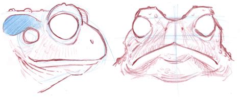 How To Draw Frogs And Toads John Muir Laws