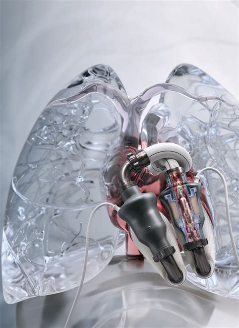 Artificial Heart Kollected