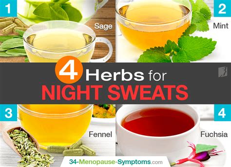 Best Herbs For Night Sweats Menopause Now
