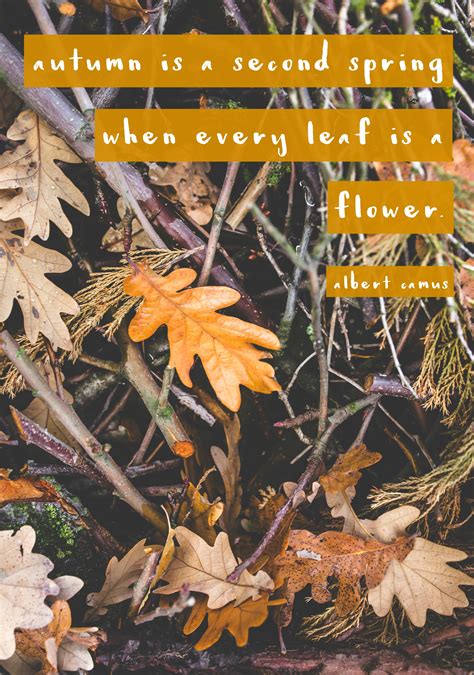 Favorite Fall Quotes Make Life Lovely