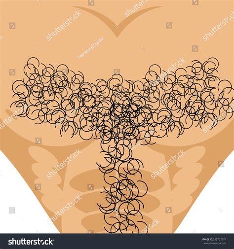 Chest Hair Stock Illustrations Images And Vectors Shutterstock