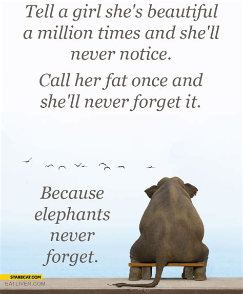 An Elephant Never Forgets Quote Women And Elephants Never Forget