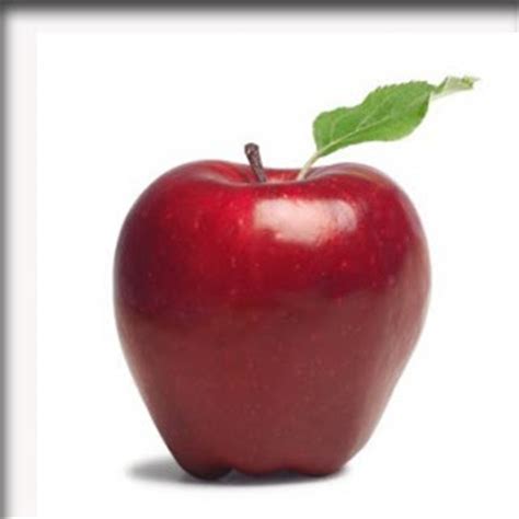 Gambar sketsa apel merah paling bagus download now 4 cara untuk meng. Gambar Apel Merah | Gambar Hidup