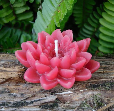4 Pack Of Floating Beeswax Water Lily Candlests For Hertropical