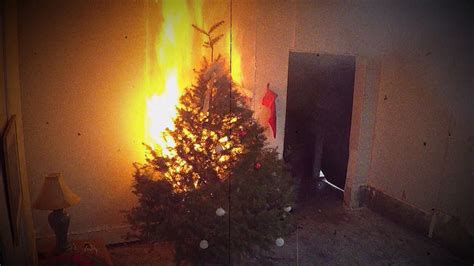 Christmas Tree Fires Simple Tips To Avoid Potentially Deadly Danger