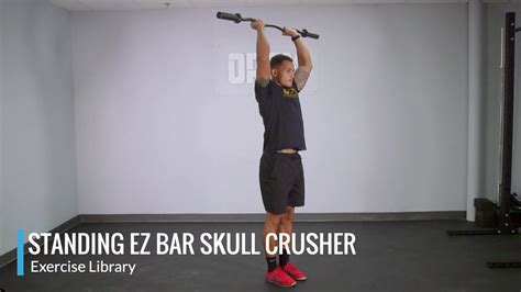 Standing Ez Bar Skull Crusher Opex Exercise Library Youtube