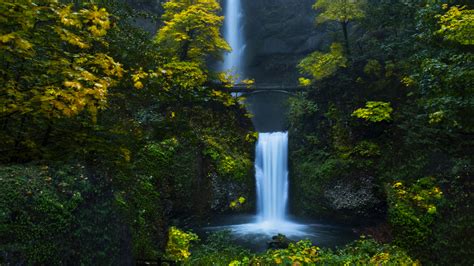Waterfall Forest 4k Wallpapers Hd Wallpapers Id 29814