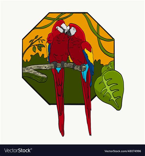 Parrot Birds Couple Royalty Free Vector Image Vectorstock