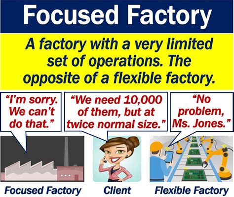 What Is A Focused Factory Definition And Examples Market Business News