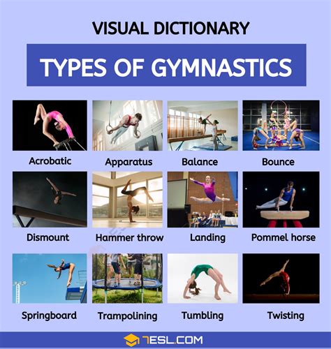 Different Types Of Gymnastics List Of Gymnastics In English • 7esl