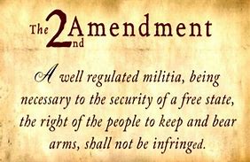 Image result for 2nd Amendment Rights