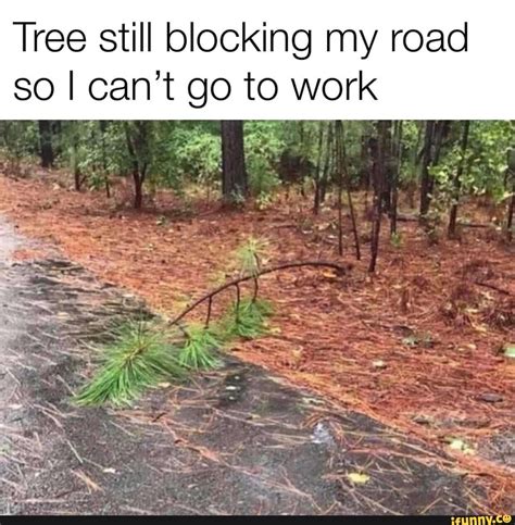 Roadblocks Memes Best Collection Of Funny Roadblocks Pictures On Ifunny
