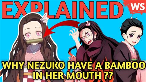 Why Nezuko Have A Bamboo In Her Mouth Hindi Youtube