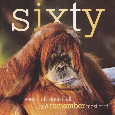 Funny 60th Birthday Memes Age 60 Funny Birthday Card Orangutan Framed