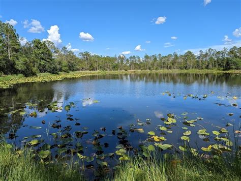 Visit Little Manatee River State Park In Florida
