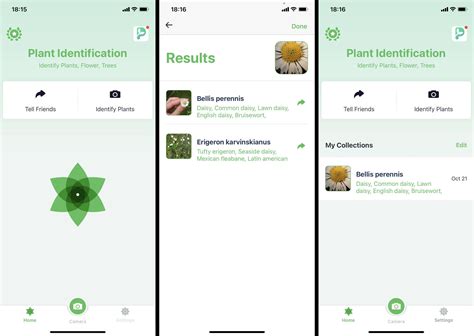 + completely free and without advertising The 8 Best Plant Identification Apps of 2021