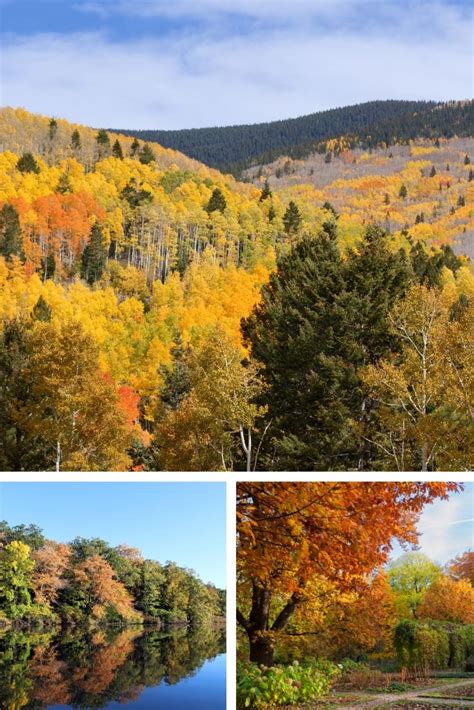 Fall Foliage In Arkansas Ultimate List Of Place To See