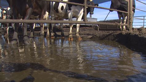 Dairy Waste Floods Homes Near Yakima