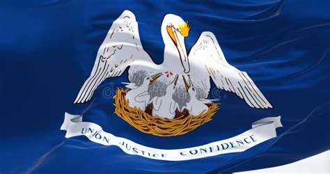 Close Up Of The Louisiana State Flag Stock Illustration Illustration