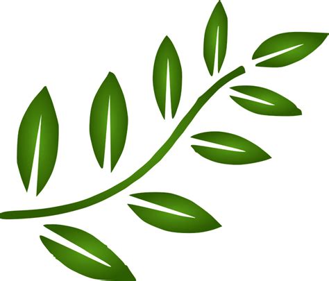 Branch Leaves Design Free Vector Graphic On Pixabay