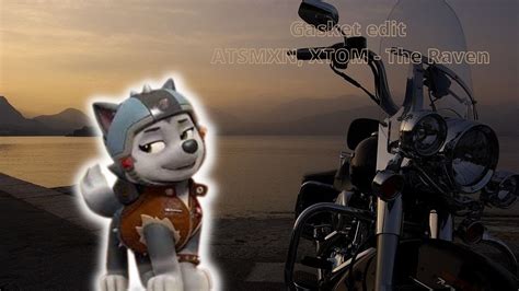 Paw Patrol Moto Pups Gasket Edit Edit De Gasket Atsmxn Xtom The