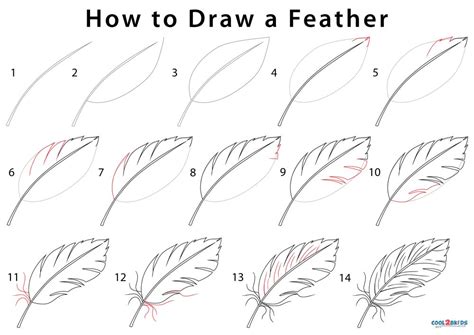 Https://techalive.net/draw/how To Draw A Feather Step By Step