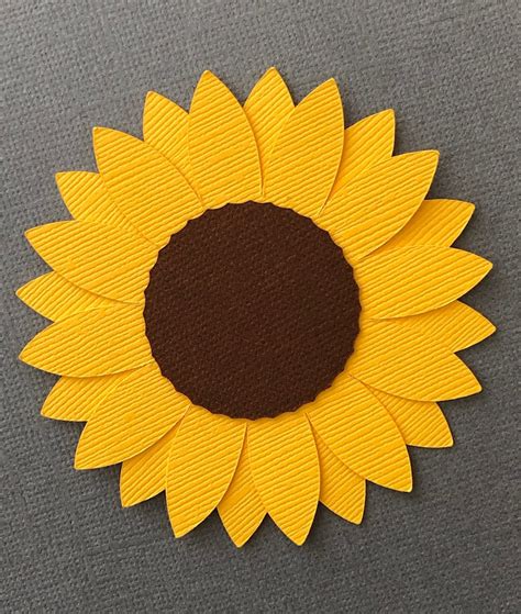7 Piece Bulletin Board Kit Sunflower Themed Classroom Etsy