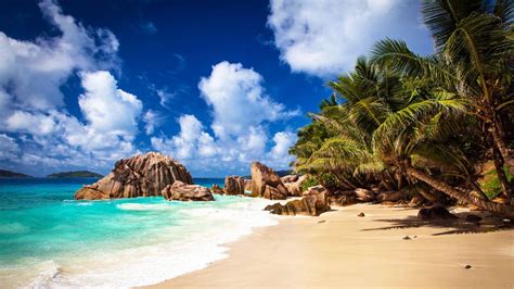 Tropical Beach Full Hd Wallpaper And Background Image 1920x1080 Id