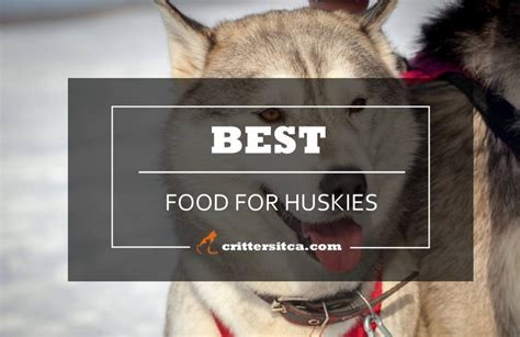 This article will review 4 of the best dog foods for huskies which are all recognized and approved by veterinarians. The Best Dog Food For Huskies Review & Buying Guide!