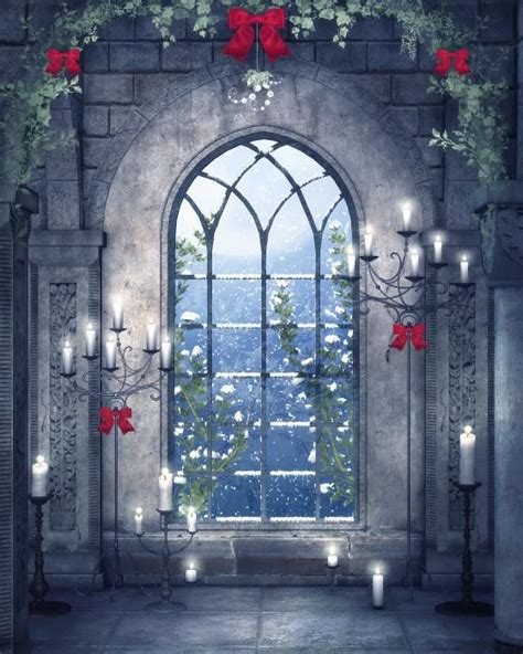 Beautiful Gothic Winter Backdrops Backgrounds Window