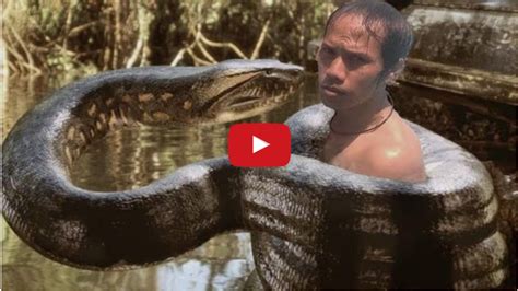 Giant Anaconda Attack Human Real Fight Snake Vs Human