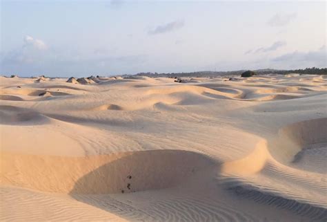 Mambrui Sand Dunes Excursion From Watamu