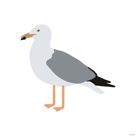 Seagull Clipart Template In Psd Illustrator  Eps Png Svg