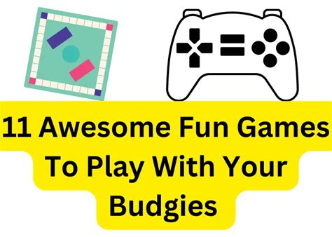 11 Awesome Fun Games To Play With Your Budgies Theyll Love