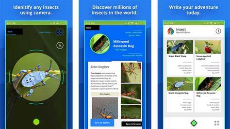 3 popular identification apps are chosen: 10 best plant apps and flower identification apps for ...