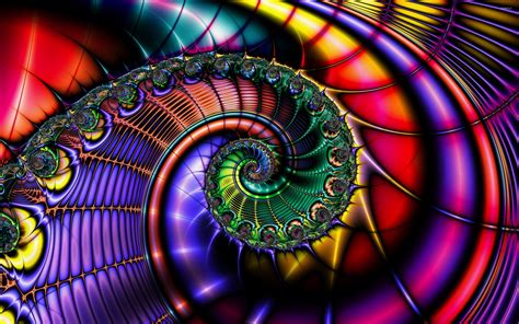 Colorful Fractal Shell Wallpaper Abstract Wallpapers