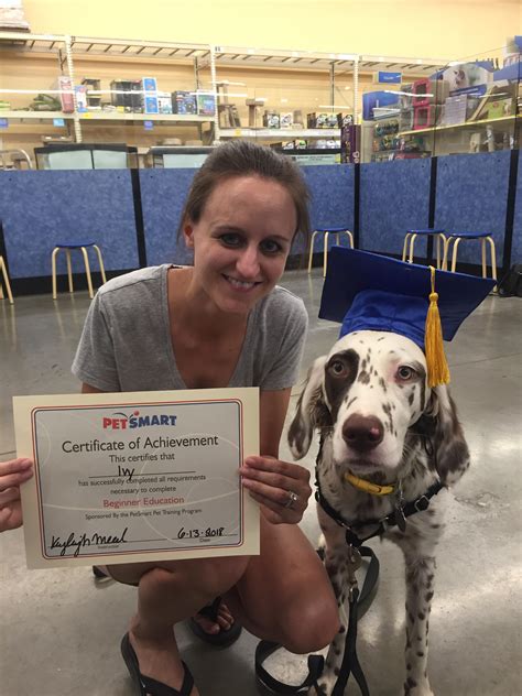 Petsmart Beginner Class Training Review – My English Setters