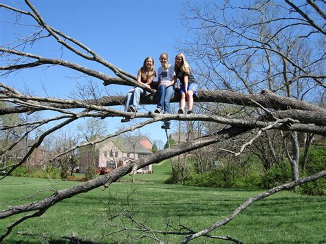 Girls On A Fallen Tree Caomai Flickr