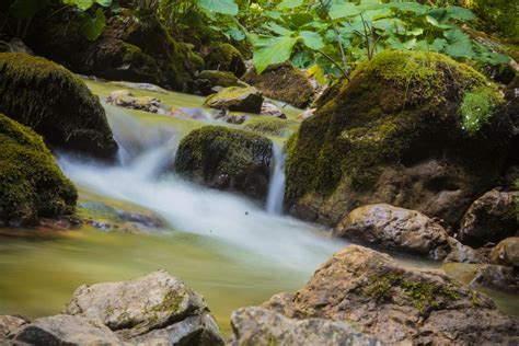 Free Stock Photo Of Forest River Freshwater Long Exposure