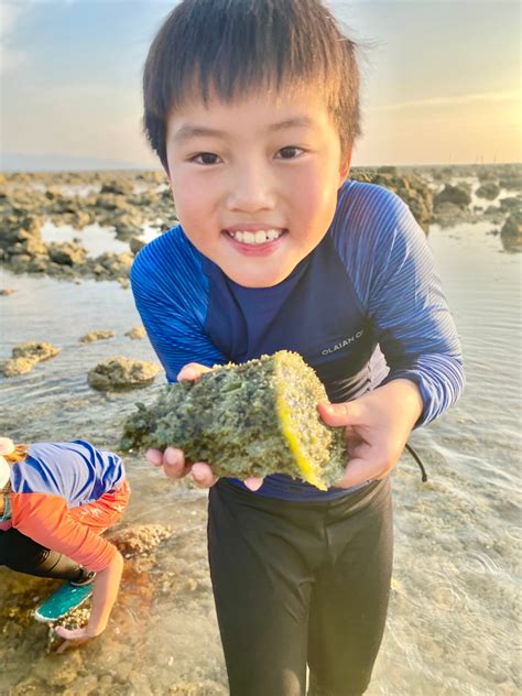 Meet Marine Life For Kids Skyfun Travel