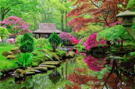 Los 8 Mejores Jardines Japoneses Para Ver En Japón ⛩️