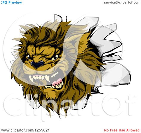 Clipart Of A Roaring Lion Mascot Head Breaking Through A Wall Royalty