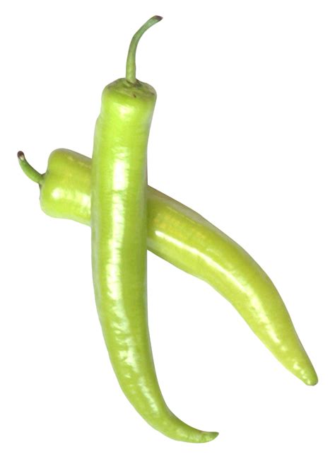 Green Chili Pepper Png Image Purepng Free Transparent Cc0 Png Image Library