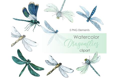 Reading Dragonfly Clipart