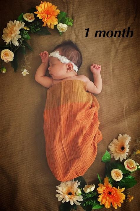 1 Month Baby Photoshoot Images Tesha Bernstein