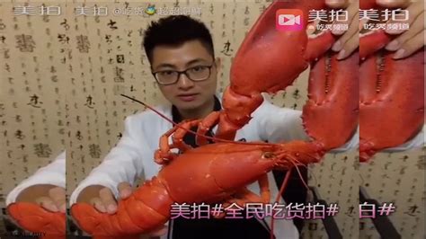Eating Giant Lobster Youtube